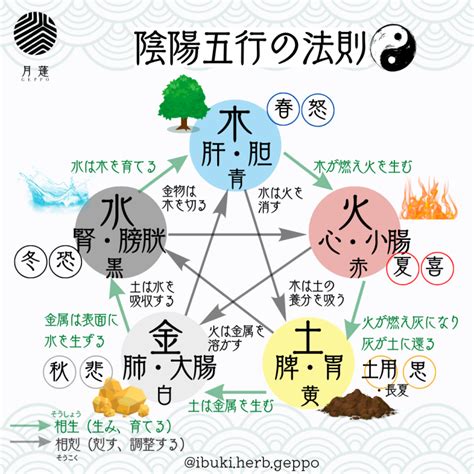 陰と陽 人間|陰陽五行説：宇宙と人間の神秘を繋ぐ、悠久の物語｜√1